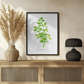 Parsley II Poster