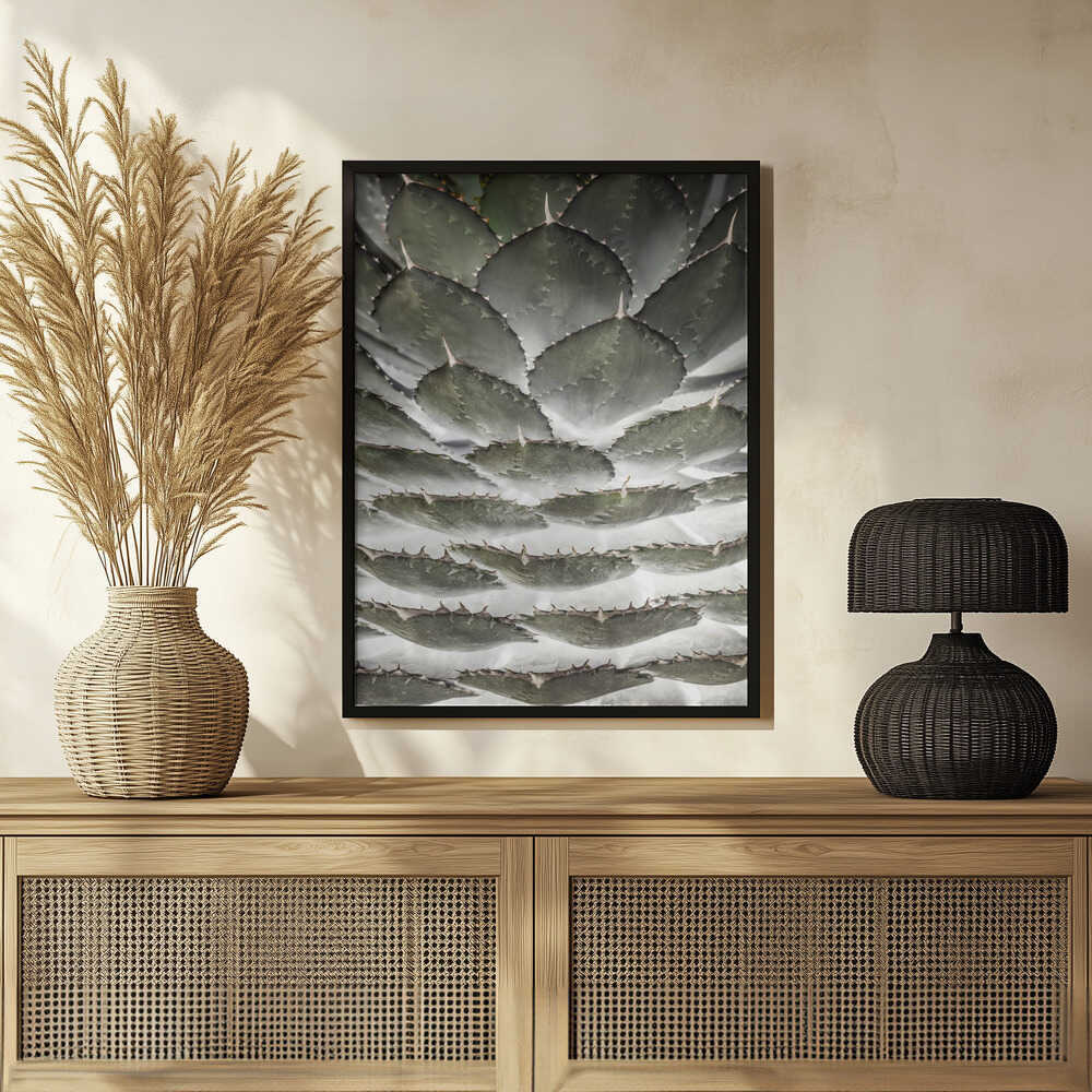 Spiral Succulent Poster