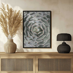 Spiral Succulent Maze Poster