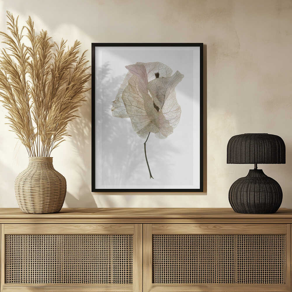 Petal Whisper Poster