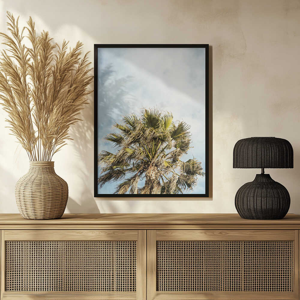 Sunlit Fronds Poster