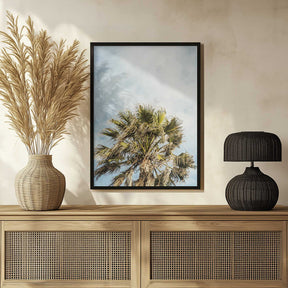 Sunlit Fronds Poster