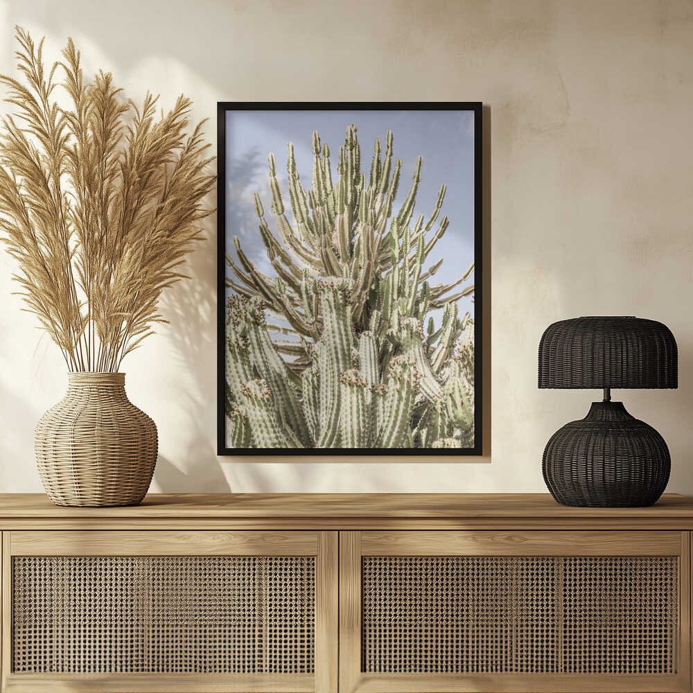 Cactus Symphony Poster