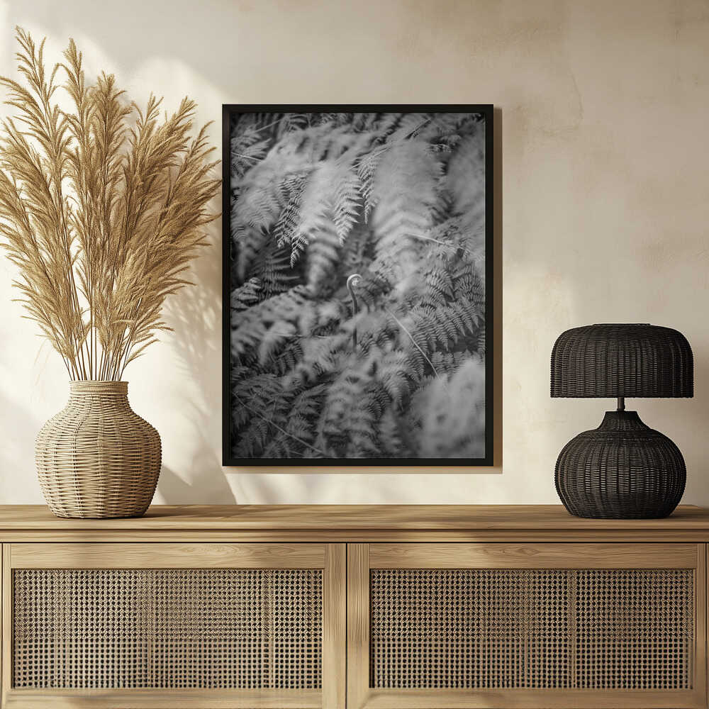 Black And White Photograph Poster