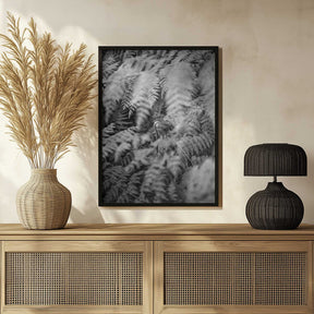 Black And White Photograph Poster