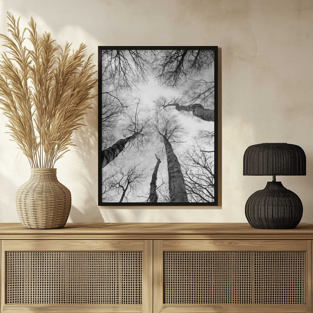 Reaching Branches Poster