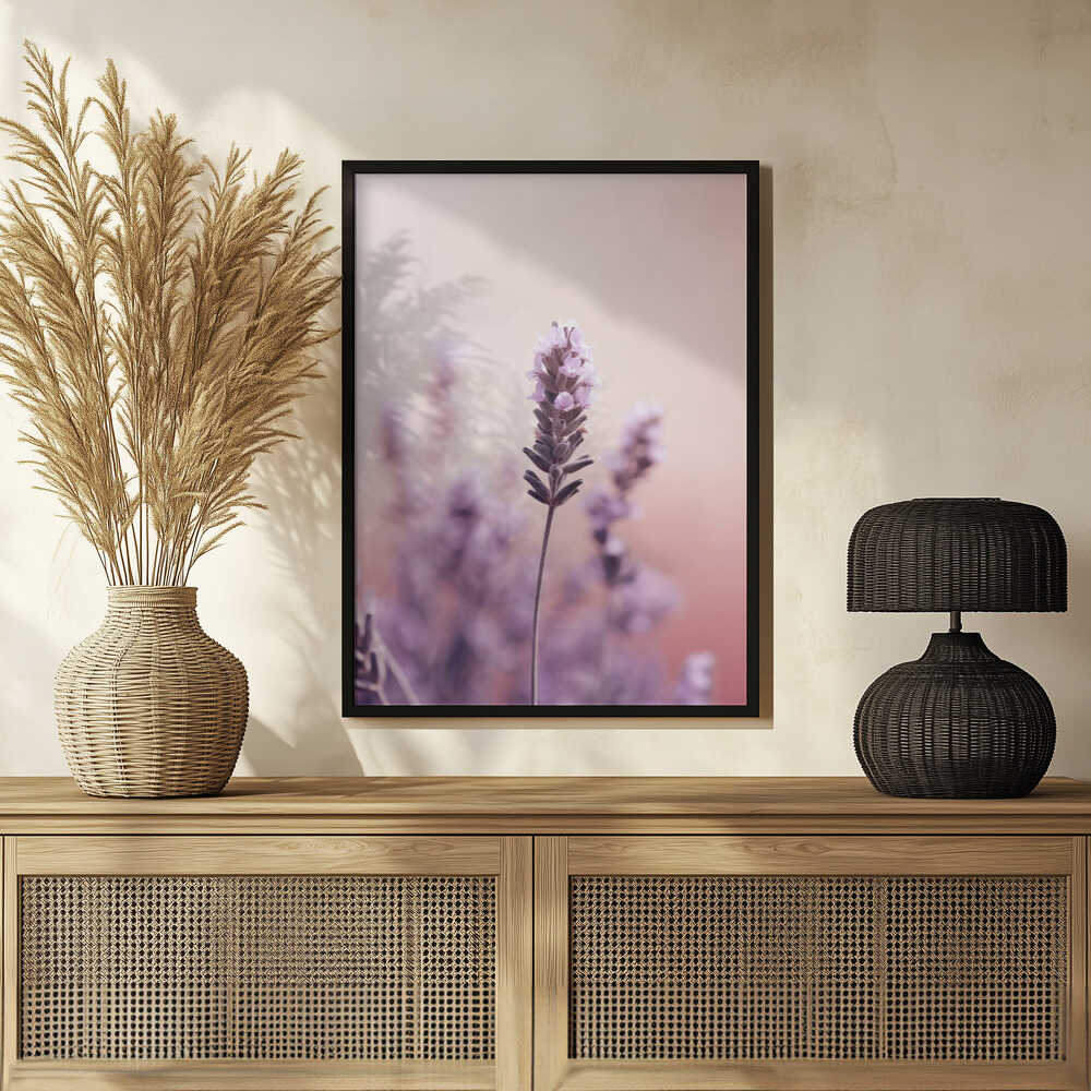 Lavender Serenity Poster