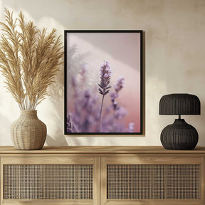 Lavender Serenity Poster