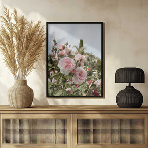 Garden Roses Poster