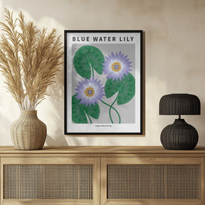 Blue Water Lily - National flower of Sri Lanka Poster