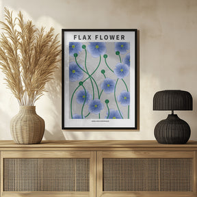 Flax flower - National flower of Ireland Poster