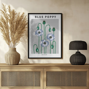 Blue Poppy - National flower of  Bhutan Poster