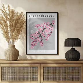 Cherry blossom - National flower of Japan Poster