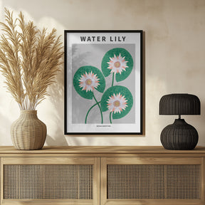 Water Lily - National flower of Iran Poster