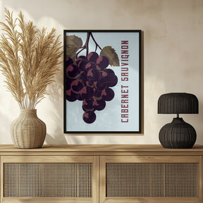 Cabernet Sauvignon Poster