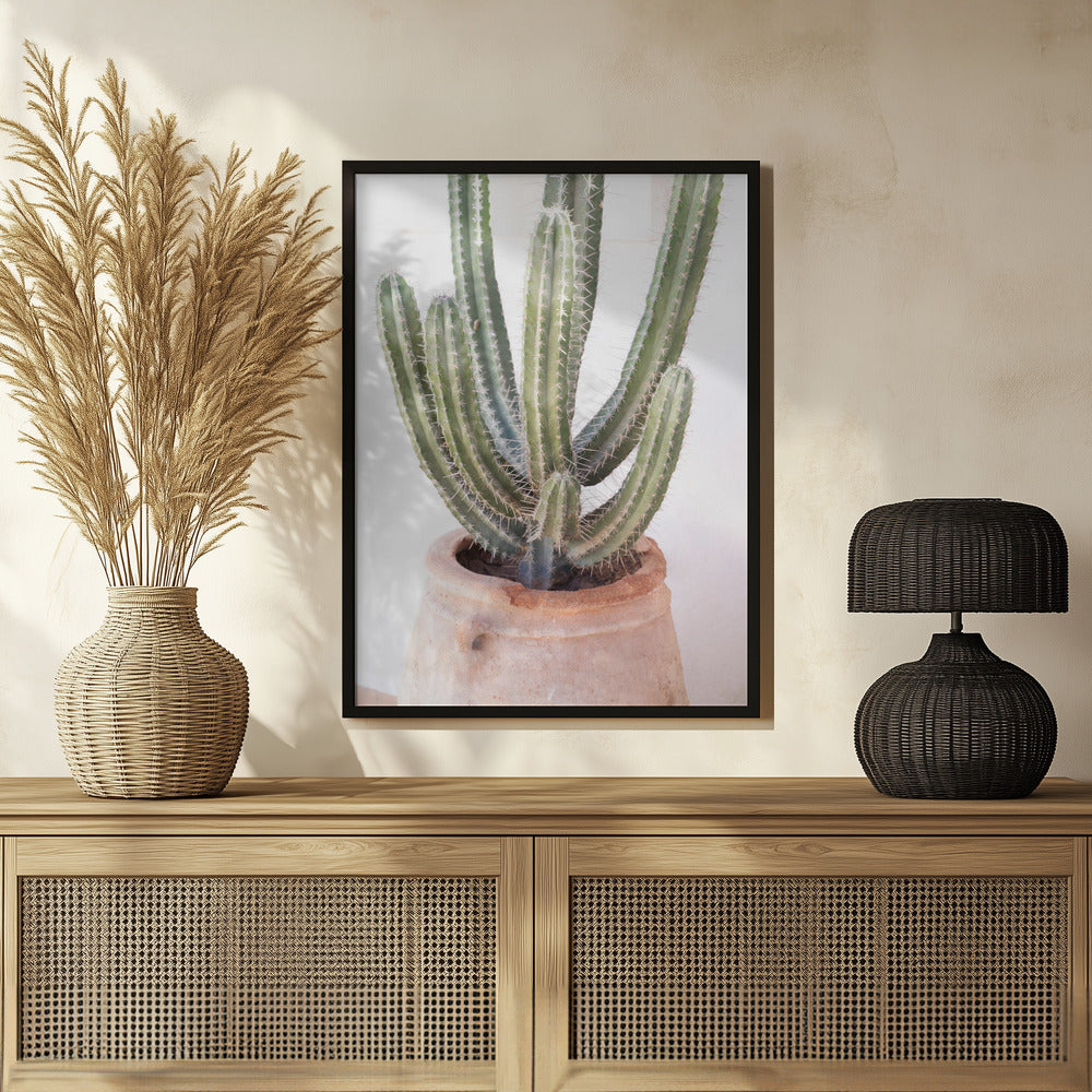 Prickly Poster