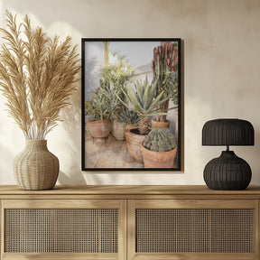 Cacti Poster