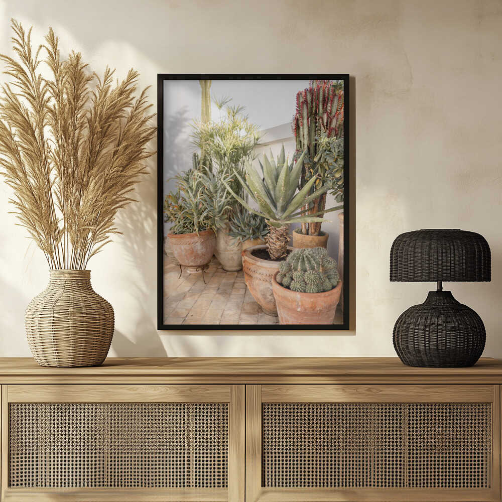 Garden with Various Potted Succulents and Cacti Poster