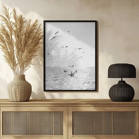 Seagulls At Sea Poster