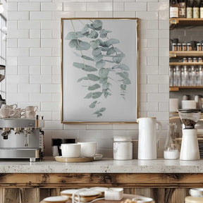 Eucalyptus I Poster