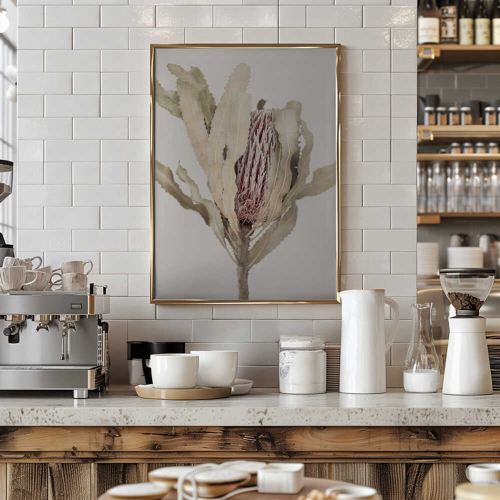 Banksia Poster