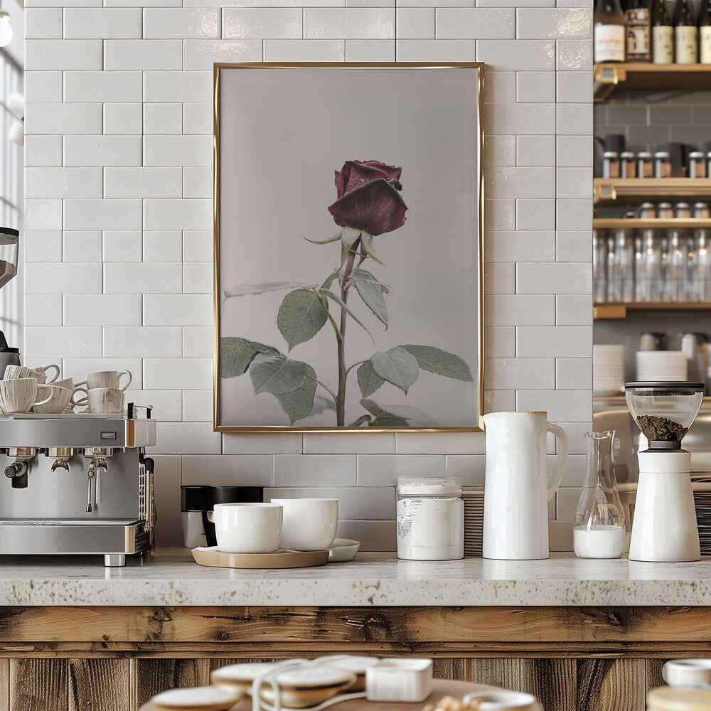 Rose Poster