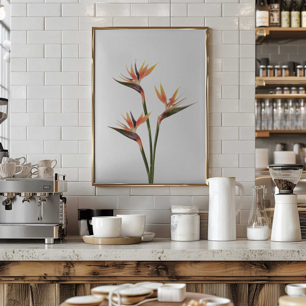 Birds of Paradise Poster