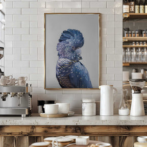 Black Cockatoo Poster