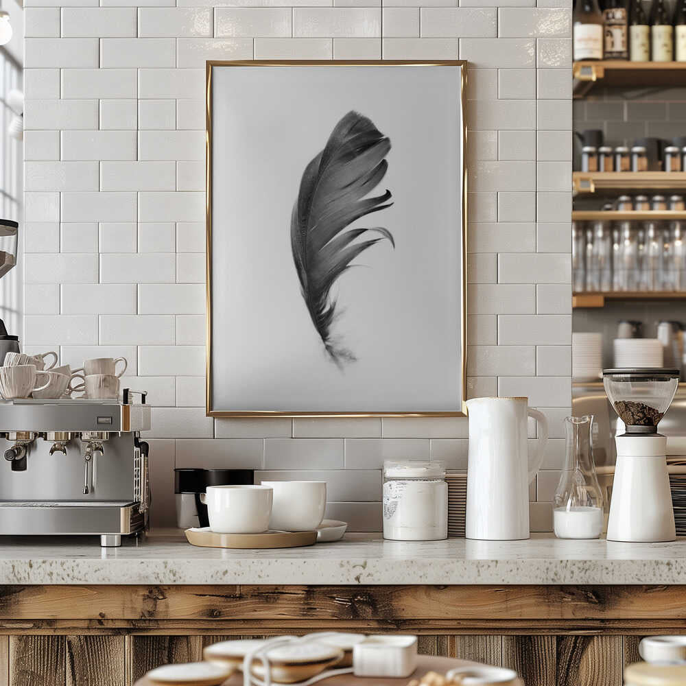 Feather Poster