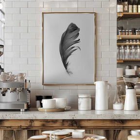 Feather Poster