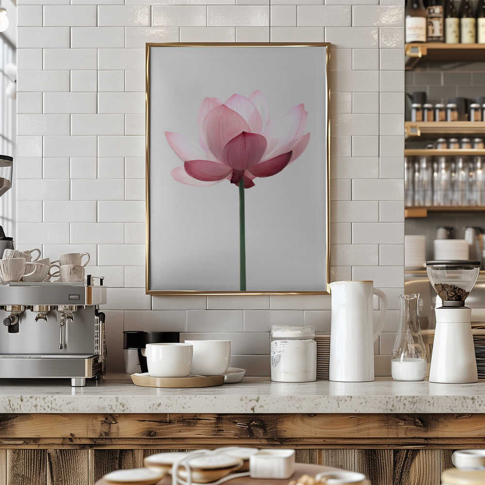 Lotus Flower Poster