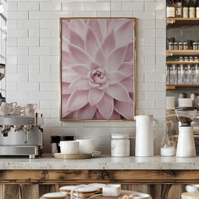 Pink Succulent Poster