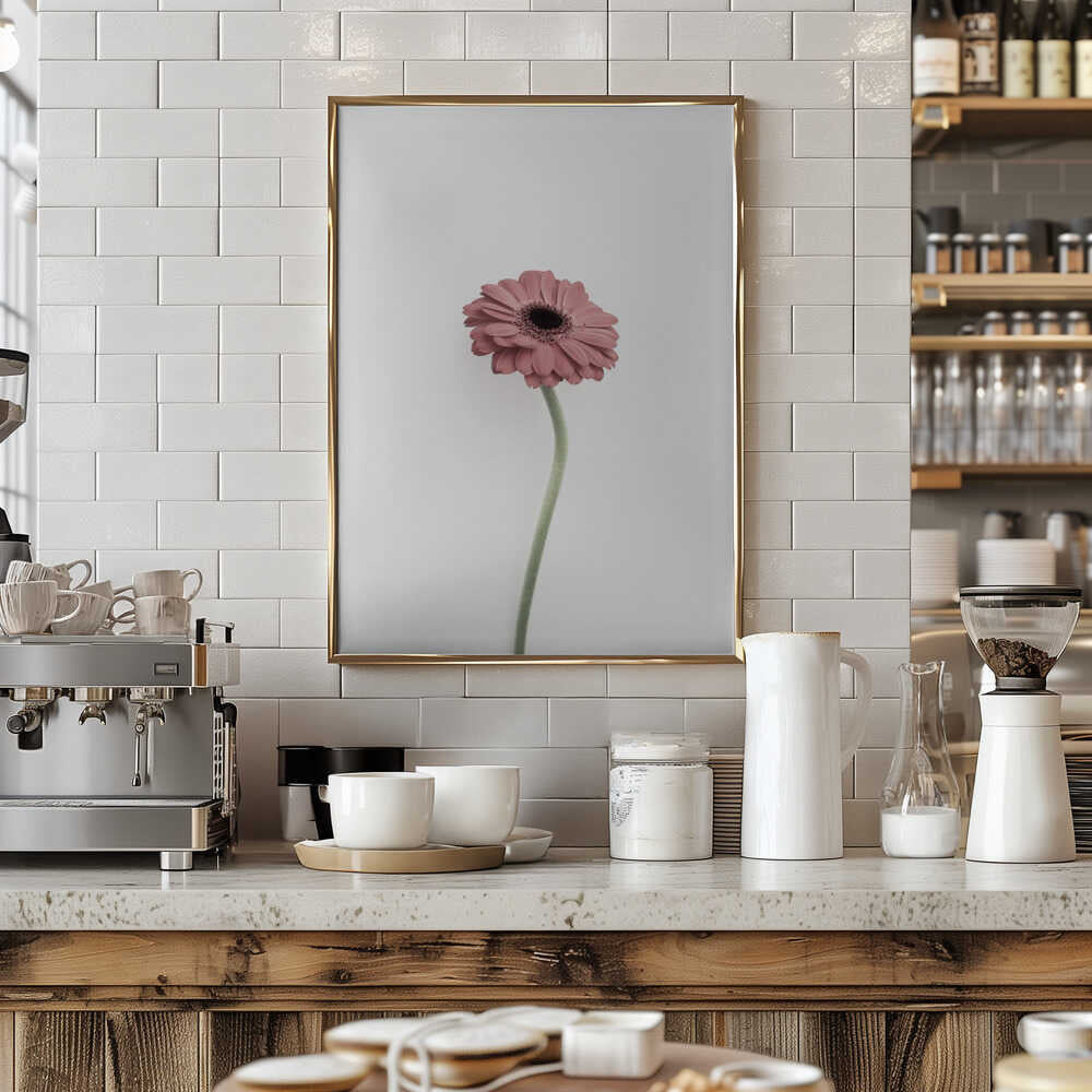 Pink Gerbera Poster