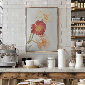 Poppies Poster