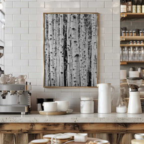 Birches Poster