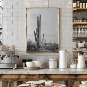Saguaro B&amp;W Poster