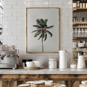 Windy Palm Tree Poster