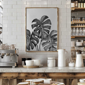Monstera leaves in loose watercolor bw Poster
