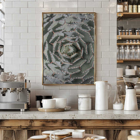 Spiral Succulent Maze Poster
