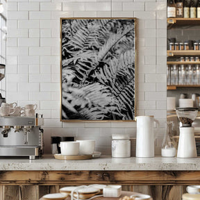 Whispering Ferns Poster