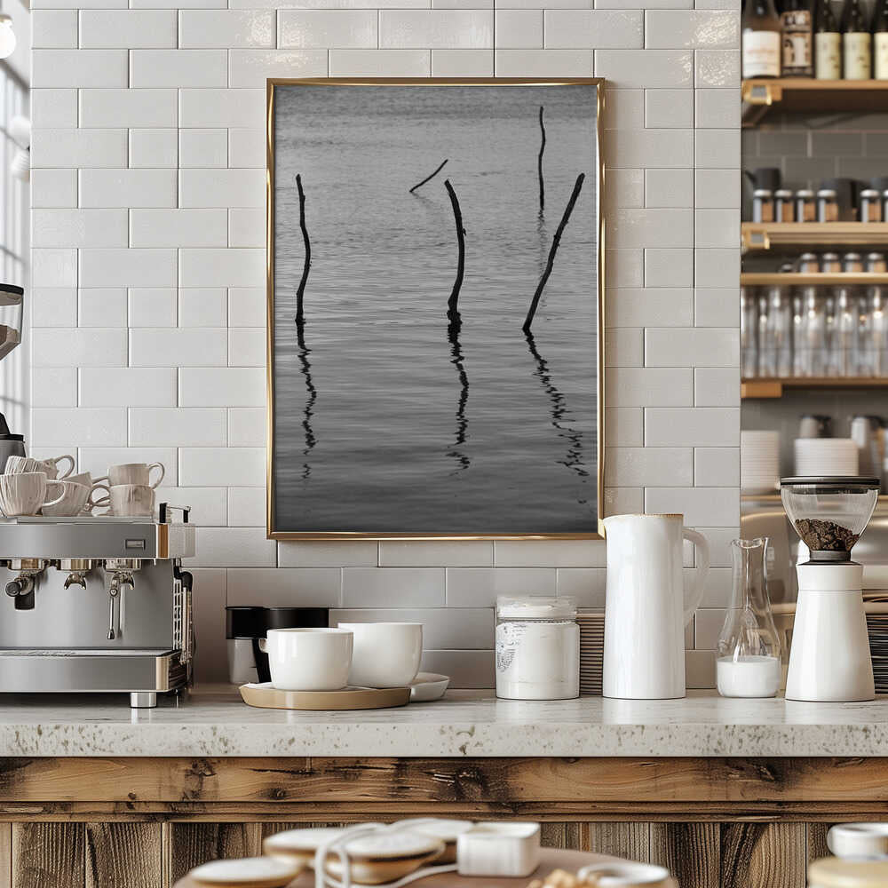 Silent Reflections Poster