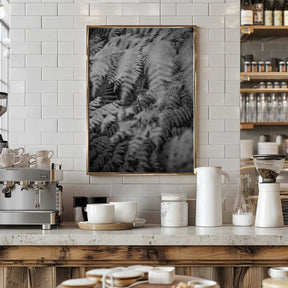 Black And White Photograph Poster