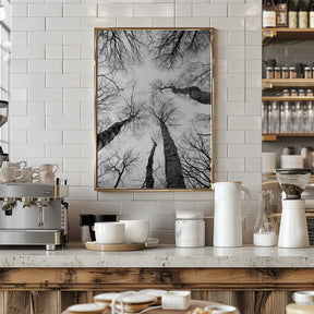 Reaching Branches Poster