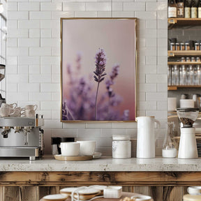 Lavender Serenity Poster