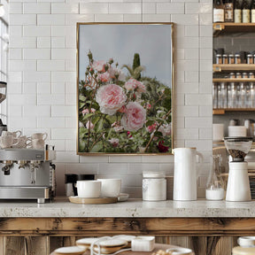 Garden Roses Poster