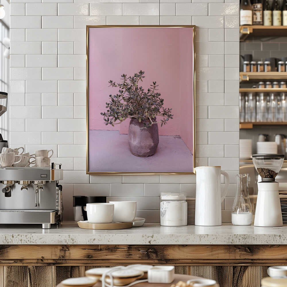 Spanish Rustic Succulent Poster
