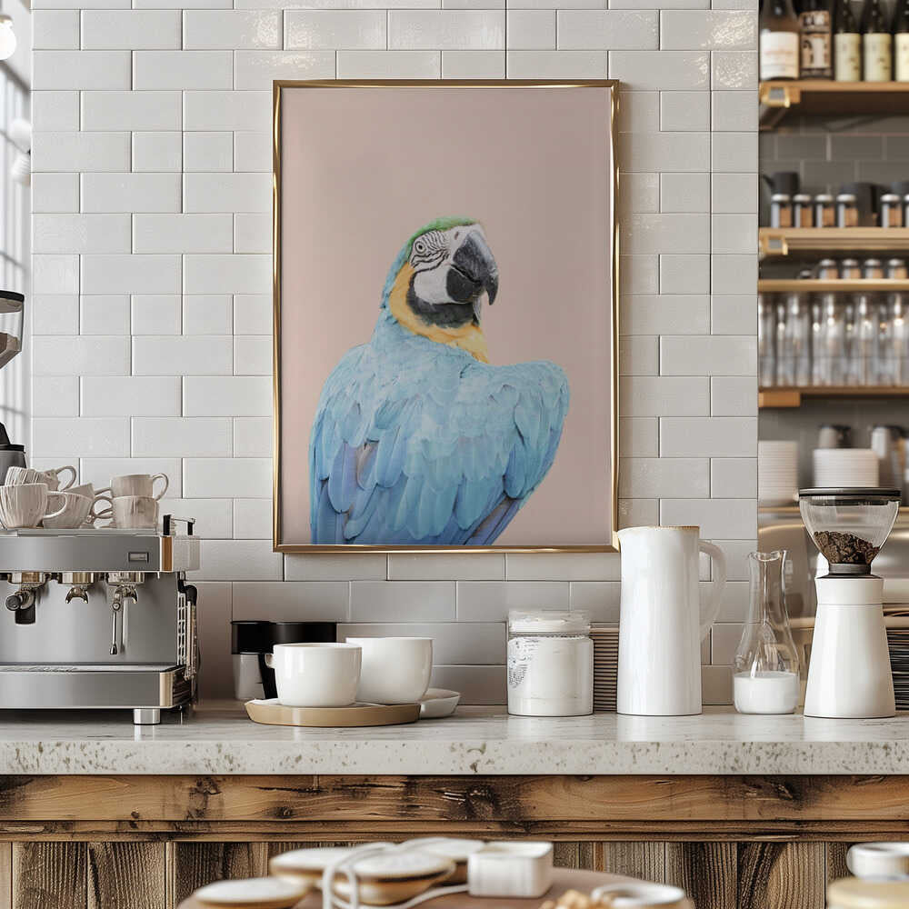 Blue Macaw Poster