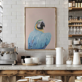 Blue Macaw Poster