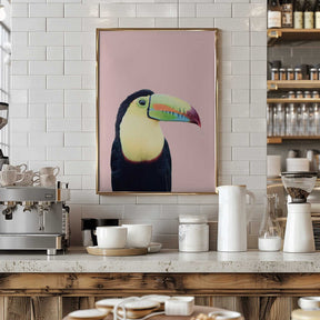 Toucan on Pink Poster