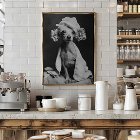 Spa Day Pooch Poster